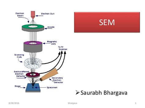 scanning electron microscopy slideshare|Scanning Electron Microscopy (SEM) lecture .